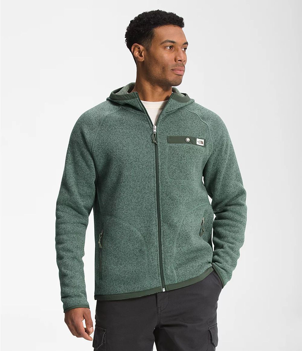 The North Face Gordon Lyons Kapuzenpullover Herren - Grün CH-803QPTJ